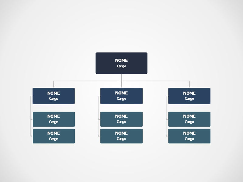 Organograma Simplificado - Slide Individual