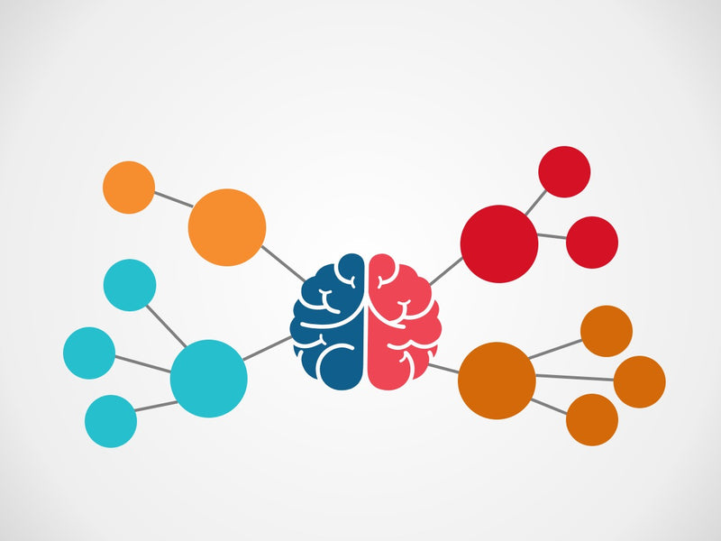 Mapa Mental - Pacote com 12 slides