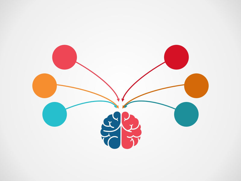 Mapa Mental - Pacote com 12 slides